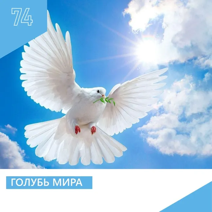 Голубь мира